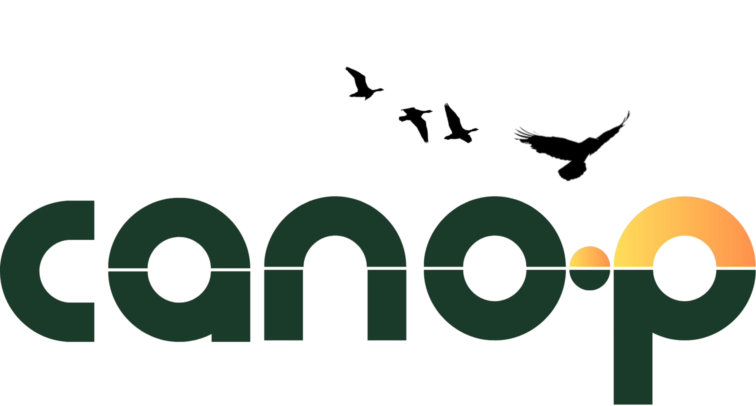 cano.p