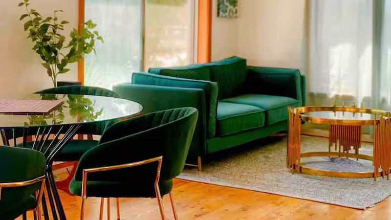 Homely Vibes